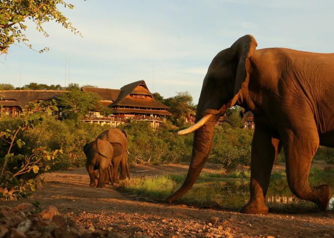 Victoria Falls Safari Lodge
